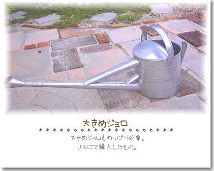 �傫���W�����摜